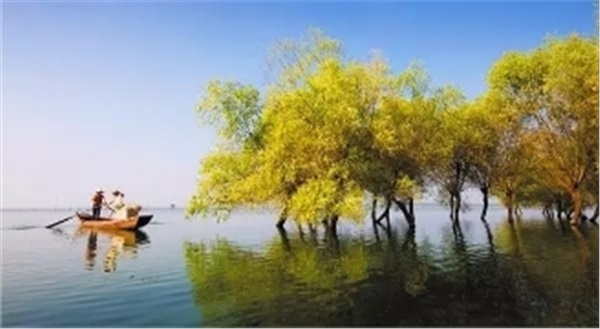 春暖花開(kāi)南洞庭踏青、云夢(mèng)七色花洲一日游  