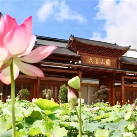 益陽(yáng)天意木國(guó)木文化博物館、金家堤、一碑五館一日游