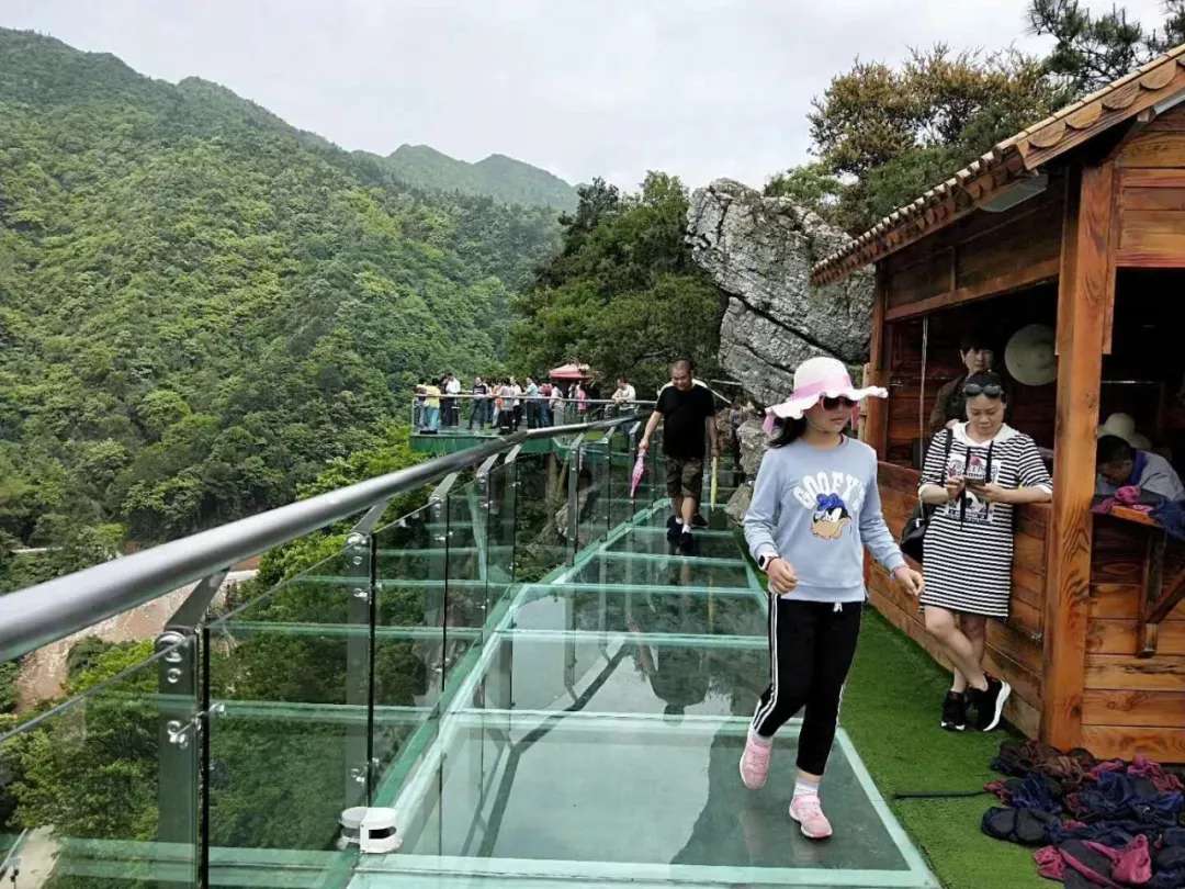 益陽安化?天下茶道、云臺山、茶香花海2日游