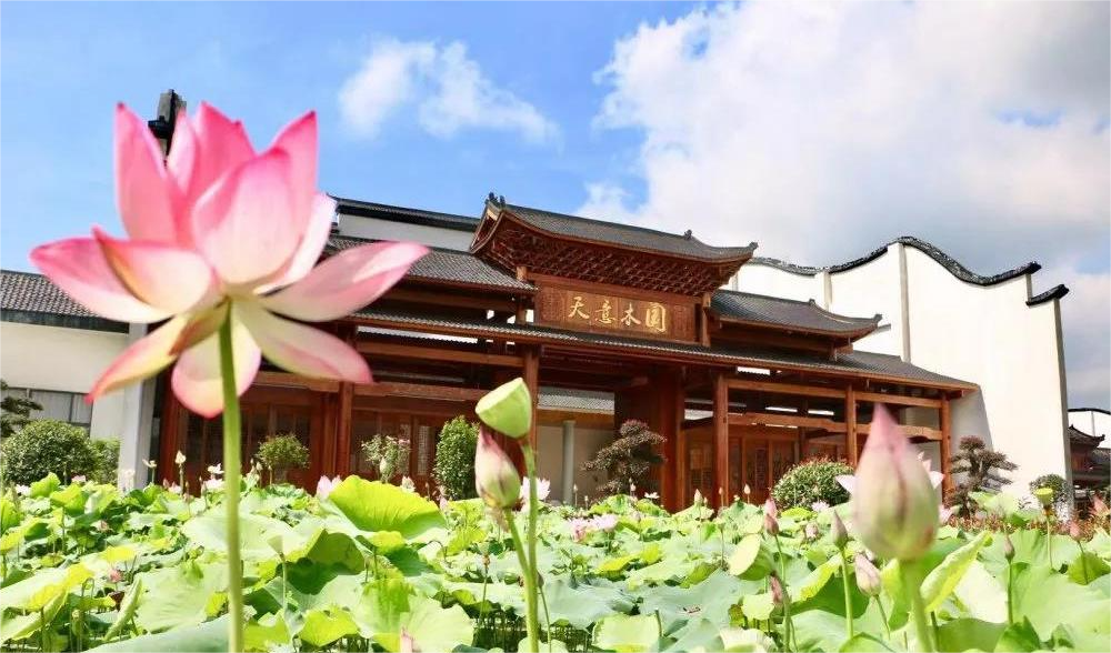清溪村、天意木國(guó)景區(qū)、明清古巷、市博物館、胡林翼故居二日游